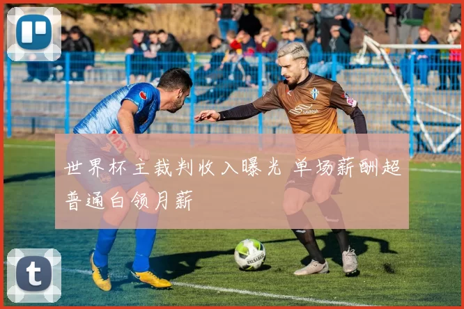 世界杯主裁判收入曝光 单场薪酬超普通白领月薪