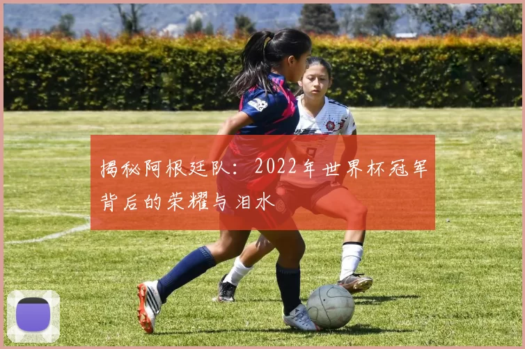 揭秘阿根廷队:2022年世界杯冠军背后的荣耀与泪水