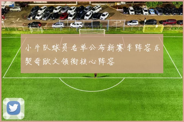 小牛队球员名单公布新赛季阵容东契奇欧文领衔核心阵容