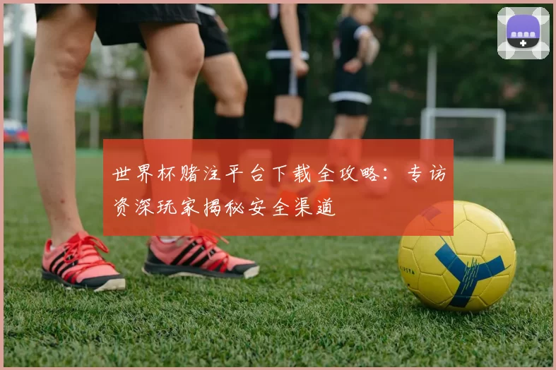 世界杯赌注平台下载全攻略：专访资深玩家揭秘安全渠道