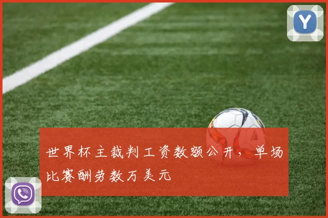 世界杯主裁判工资数额公开，单场比赛酬劳数万美元