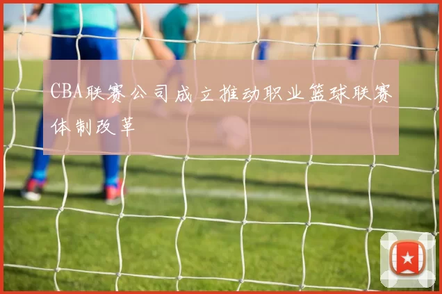 CBA联赛公司成立推动职业篮球联赛体制改革