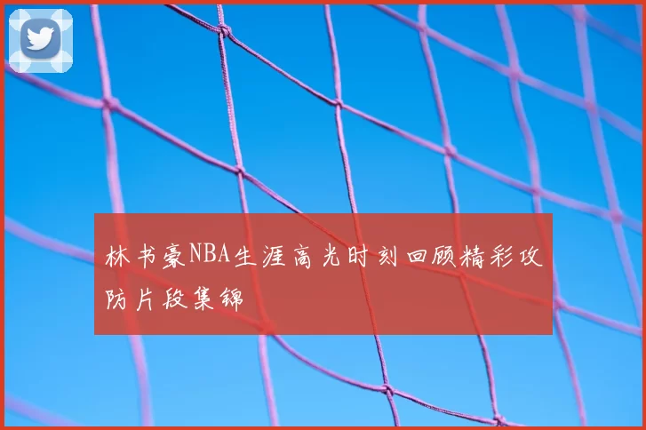 林书豪NBA生涯高光时刻回顾精彩攻防片段集锦