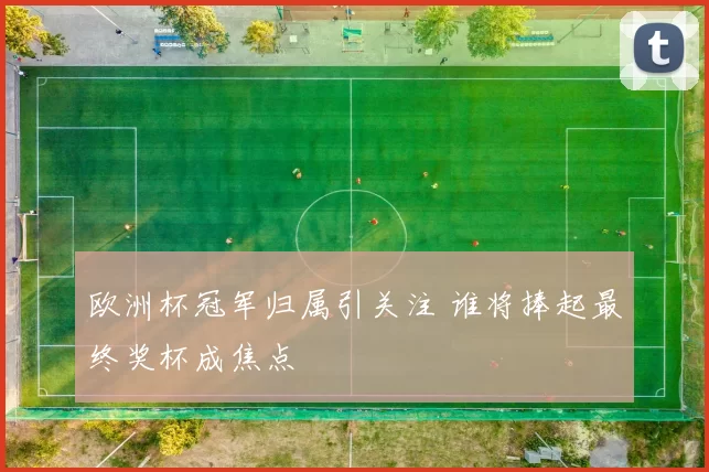 欧洲杯冠军归属引关注 谁将捧起最终奖杯成焦点