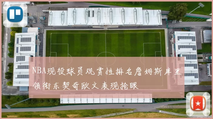 NBA现役球员观赏性排名詹姆斯库里领衔东契奇欧文表现抢眼