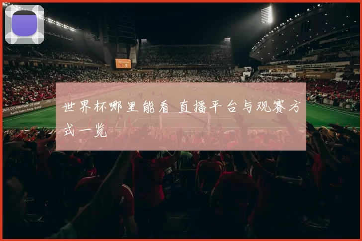 世界杯哪里能看 直播平台与观赛方式一览