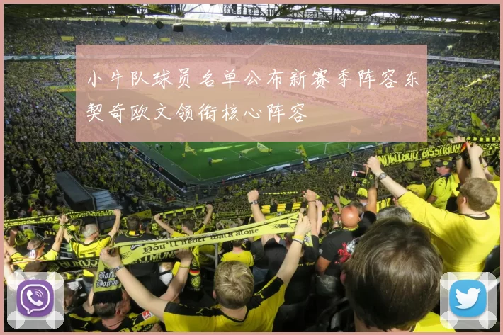 小牛队球员名单公布新赛季阵容东契奇欧文领衔核心阵容
