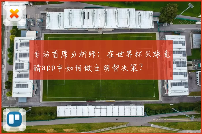 专访首席分析师：在世界杯买球竞猜app中如何做出明智决策？